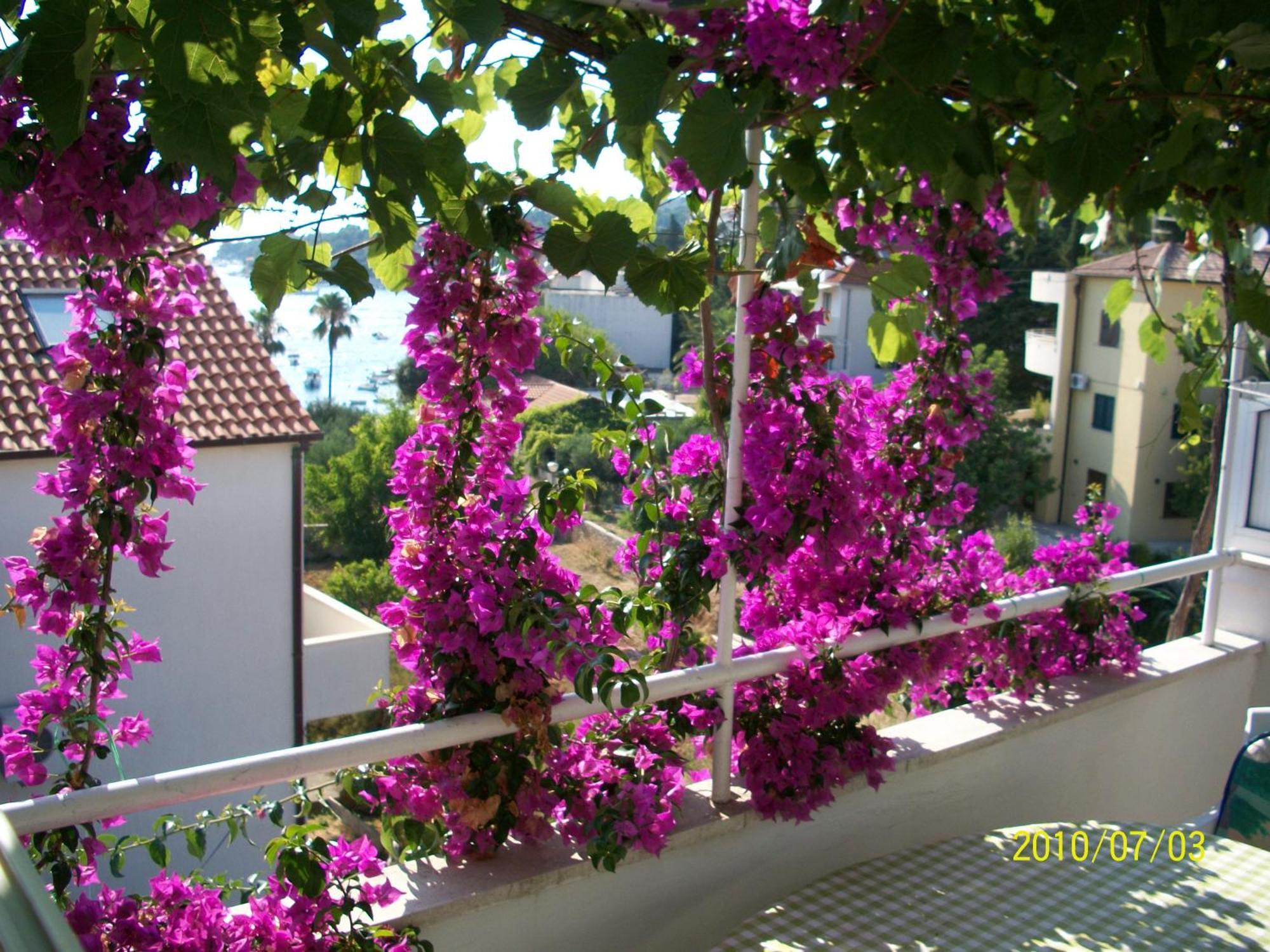 Apartmani Surlin Hvar Town Exteriér fotografie