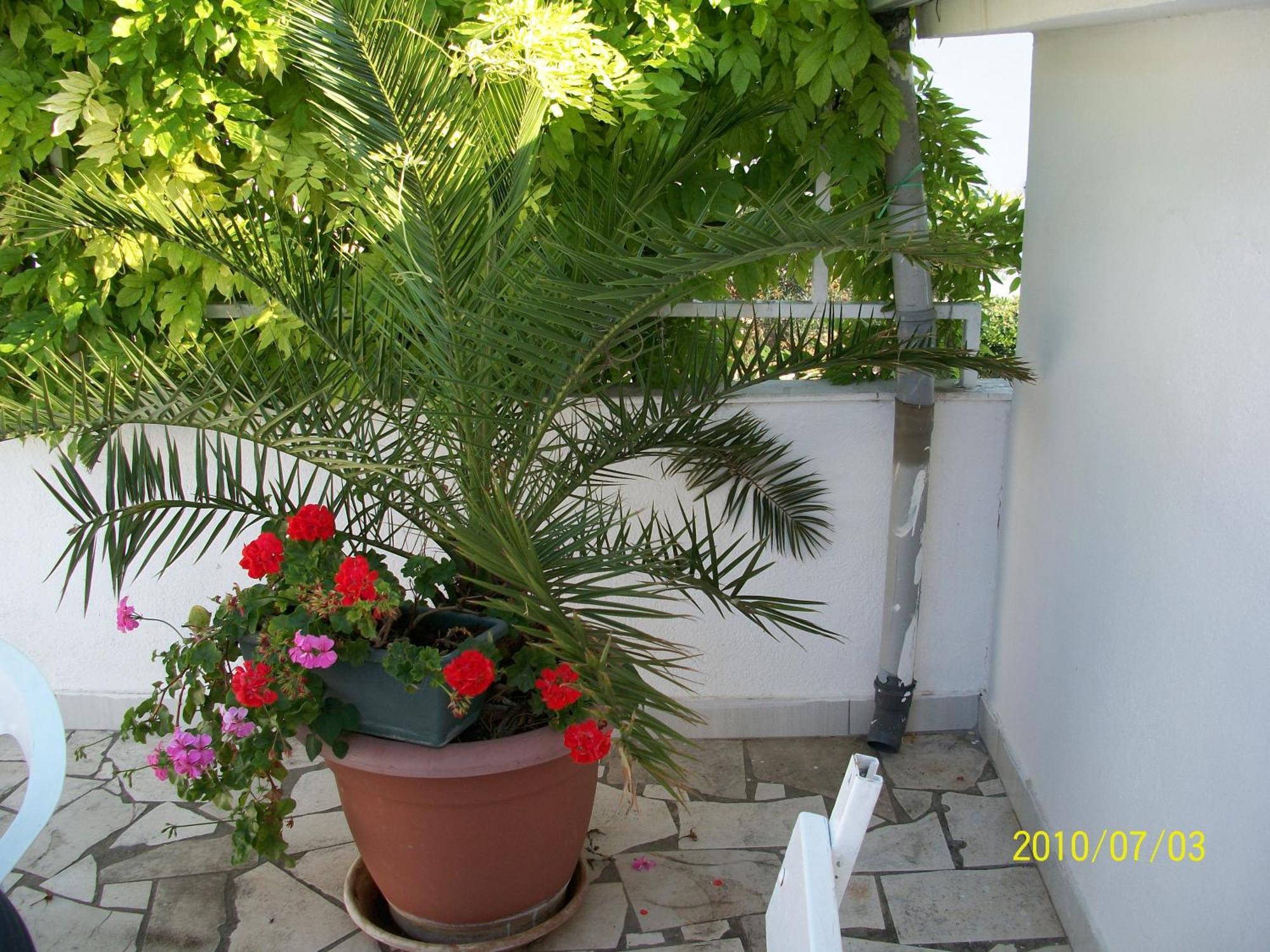 Apartmani Surlin Hvar Town Exteriér fotografie