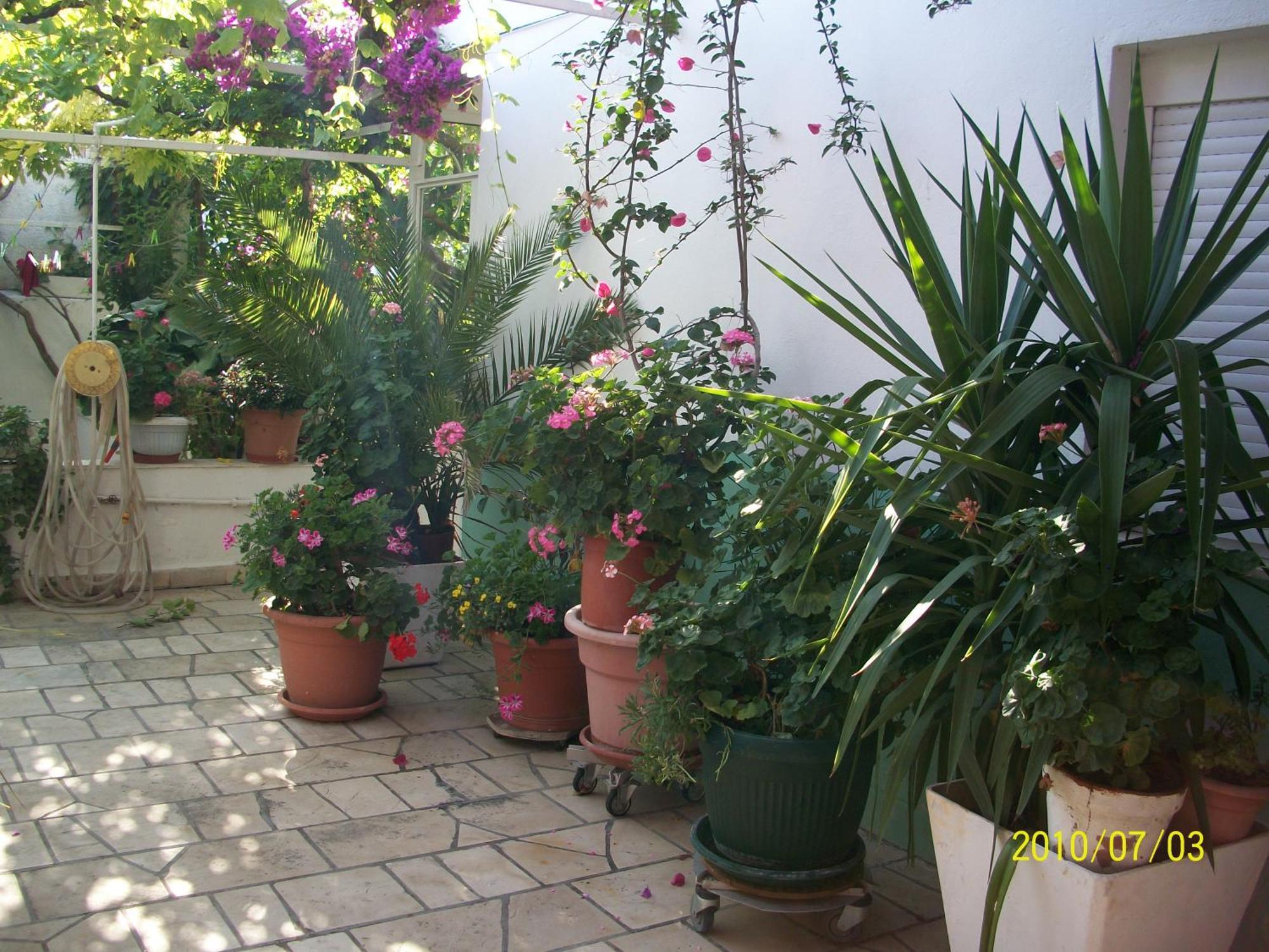 Apartmani Surlin Hvar Town Exteriér fotografie
