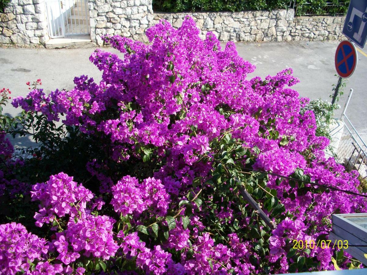 Apartmani Surlin Hvar Town Exteriér fotografie